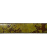 Mycelium Bookmarks