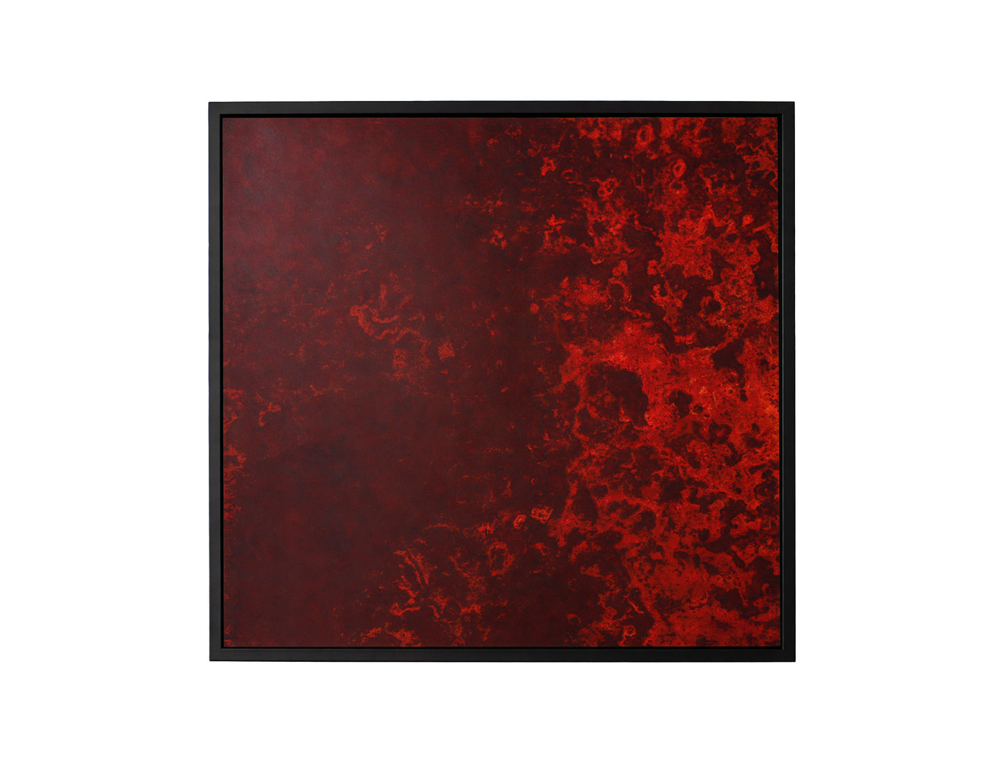 Wild Magma | Art 1