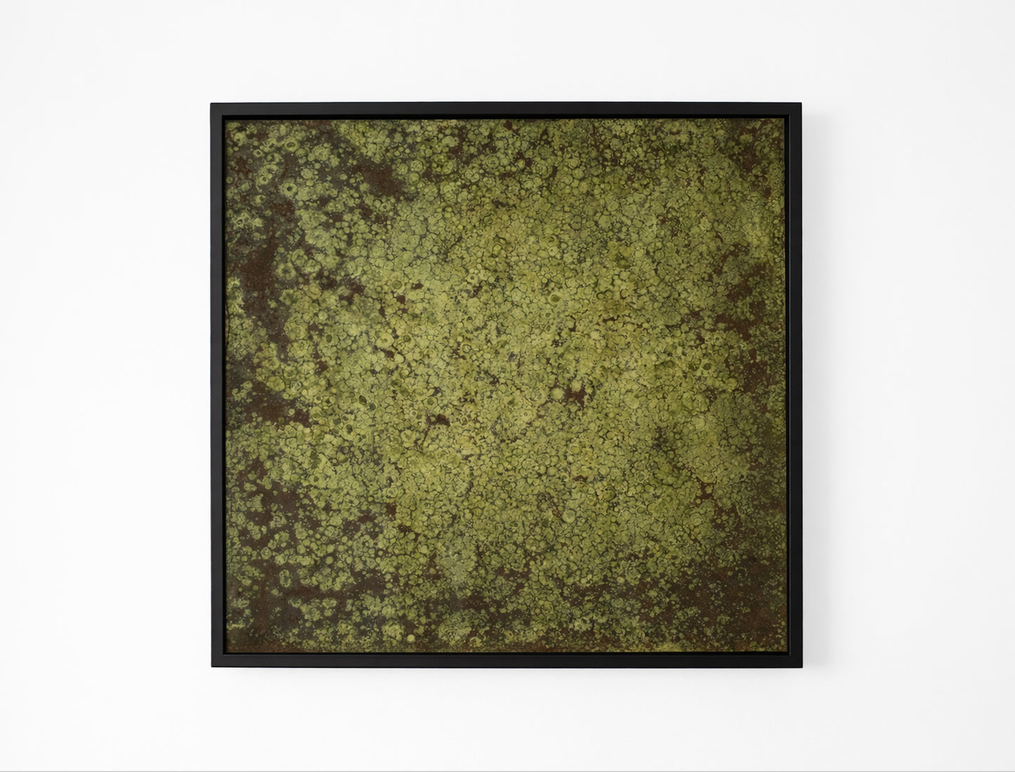 Wild Moss Art 2