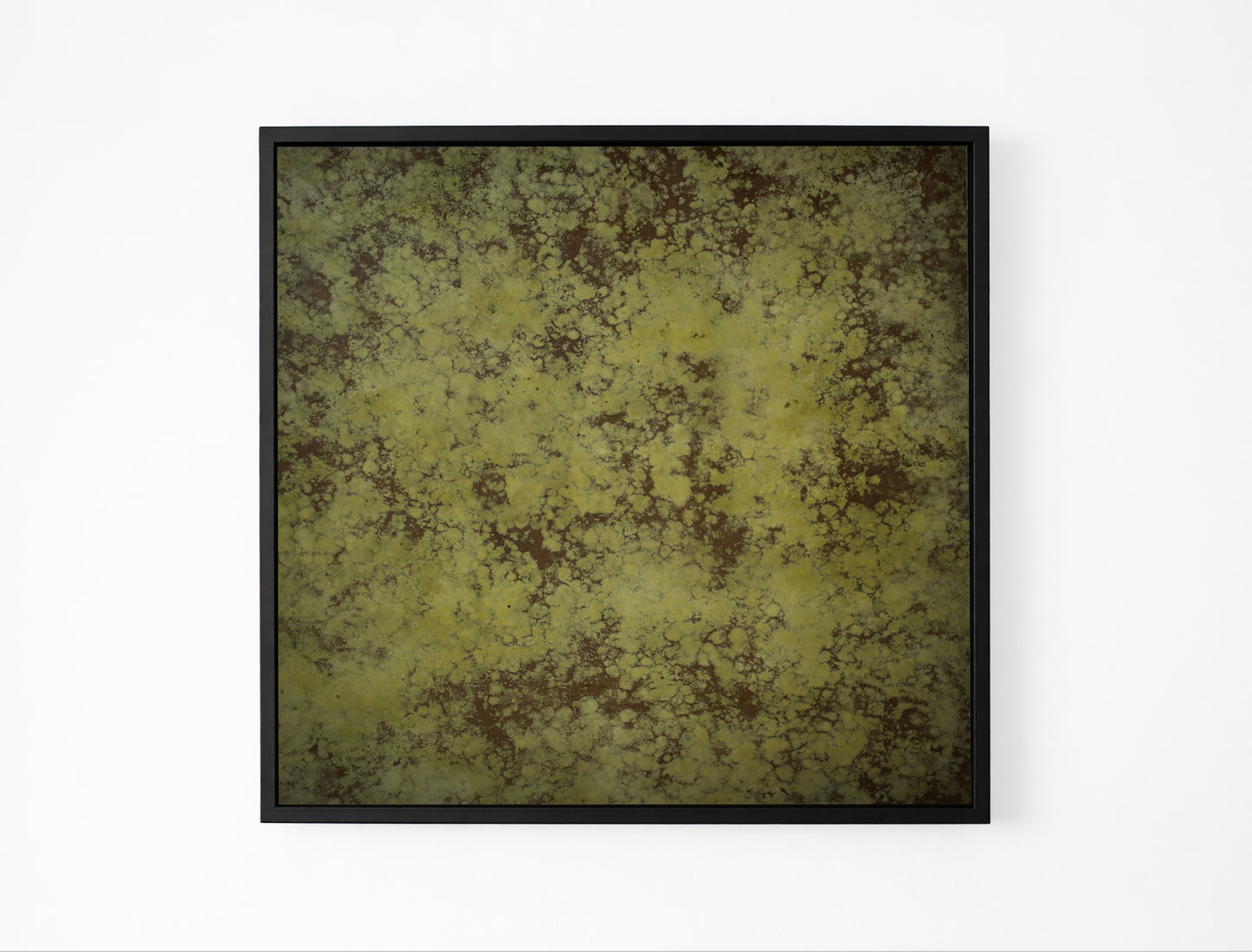 Wild Moss Art 1