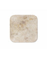 Mycelium Coaster