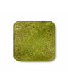 Mycelium Coaster