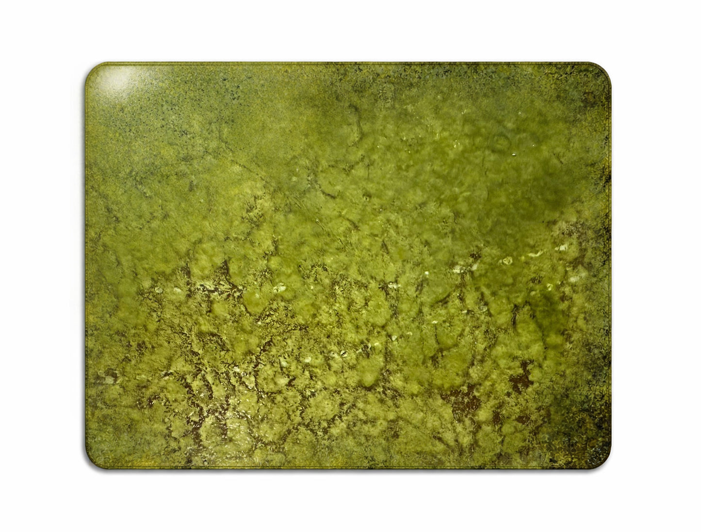 Mycelium Placemat