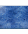 Mycelium Placemat