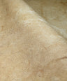 Wild Alabaster | Mycelium Mural