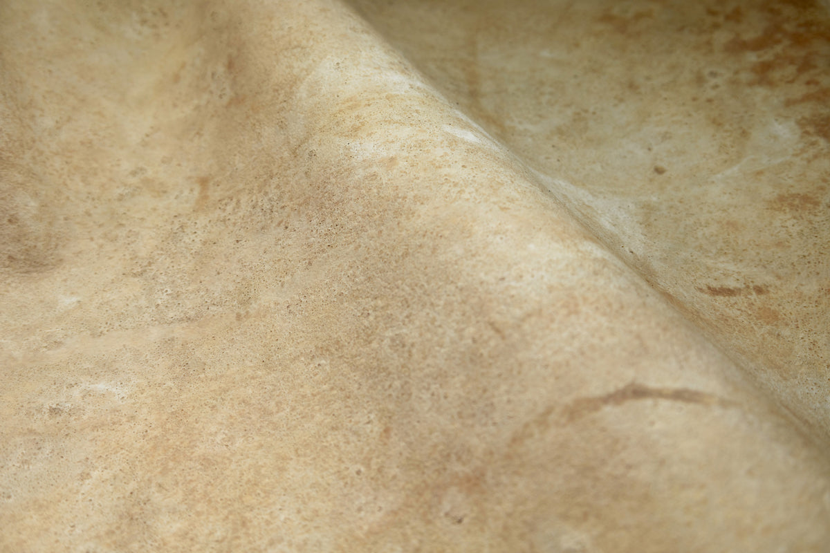 Wild Alabaster | Mycelium Mural