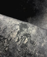 Wild Ashes | Mycelium Mural