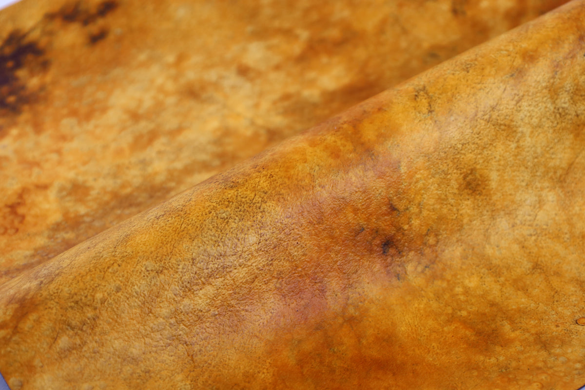 Wild Dunes | Mycelium Mural