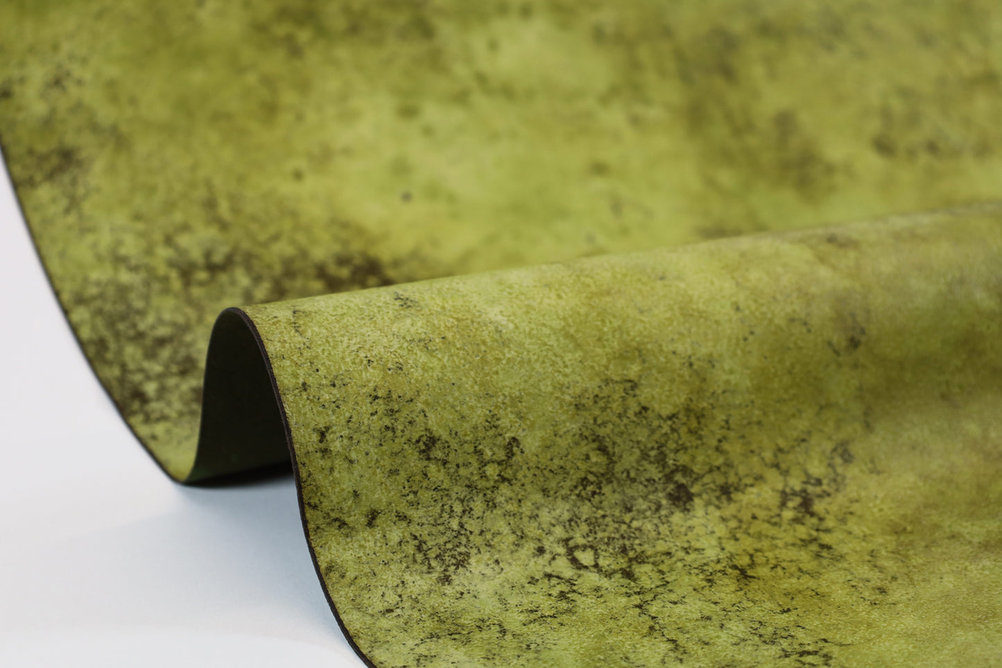Wild Moss | Mycelium Mural