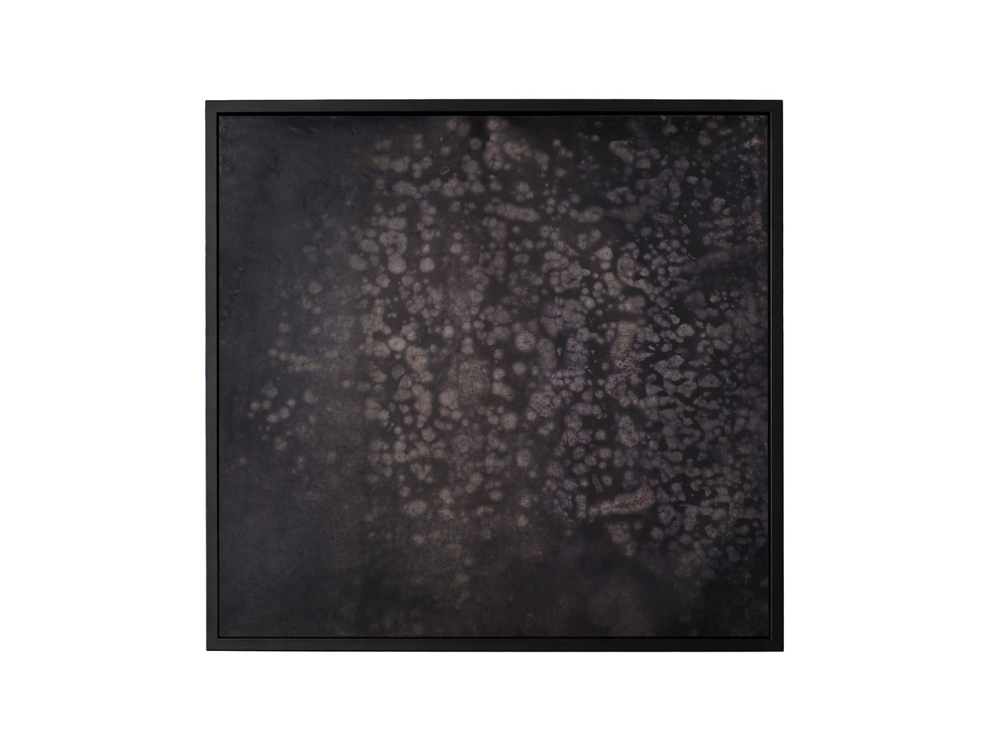 Wild Ashes Art 1