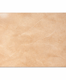 Mycelium Placemat